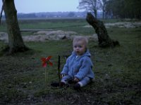 New Forest Andy